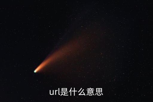 url是什么意思