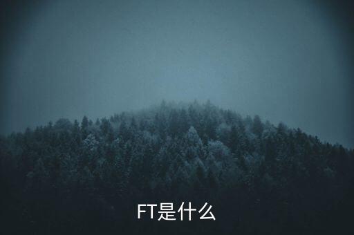 什么是FT調(diào)查，F(xiàn)T是什么