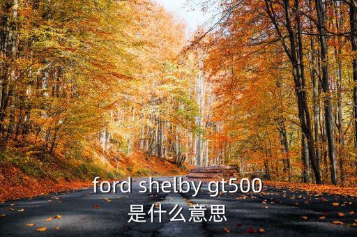 東盟油500是什么，ford shelby gt500是什么意思