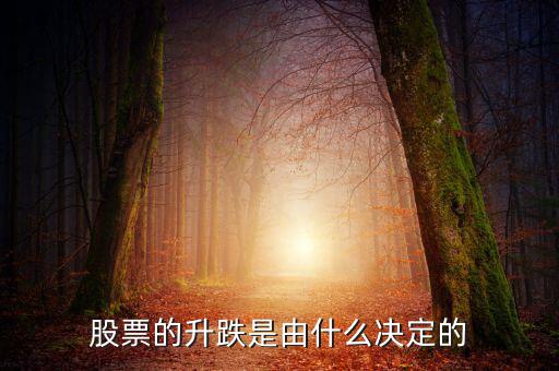 股票根據(jù)什么跌升，股票的升跌是由什么決定的