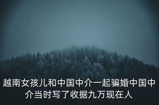 越南女孩兒和中國中介一起騙婚中國中介當時寫了收據(jù)九萬現(xiàn)在人