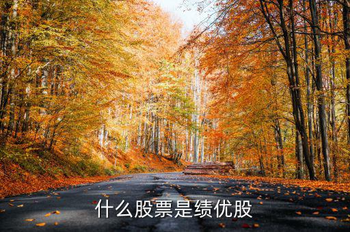 什么是績(jī)效股票，什么叫成長(zhǎng)股和績(jī)效股