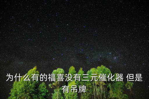 為什么有的福喜沒有三元催化器 但是有吊牌