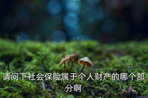 請(qǐng)問(wèn)下社會(huì)保險(xiǎn)屬于個(gè)人財(cái)產(chǎn)的哪個(gè)部分啊