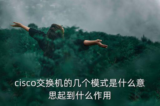 tmt究竟是什么模式，請問TMT是什么意思