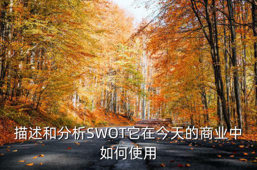 描述和分析SWOT它在今天的商業(yè)中如何使用