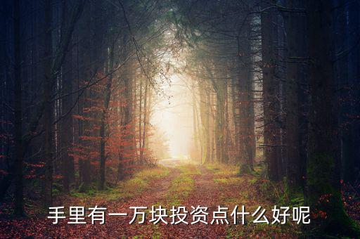 一萬元做什么投資，1萬元創(chuàng)業(yè)投資干什么好