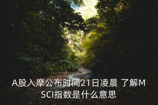 A股入摩公布時(shí)間21日凌晨 了解MSCI指數(shù)是什么意思