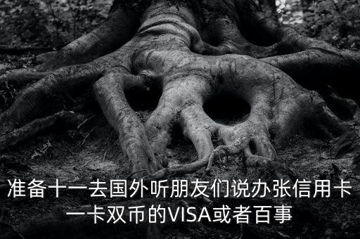 準備十一去國外聽朋友們說辦張信用卡一卡雙幣的VISA或者百事