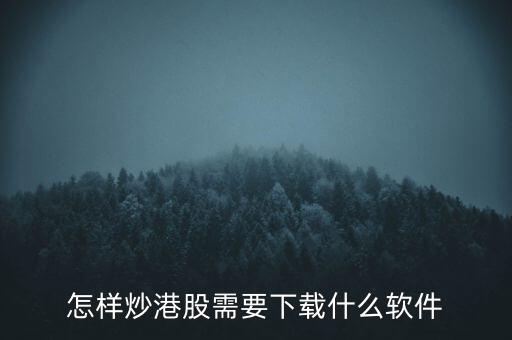 港股資金進(jìn)出用什么軟件，現(xiàn)在內(nèi)地的炒股滬港通用什么軟件