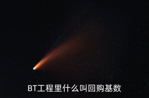 BT工程里什么叫回購基數(shù)