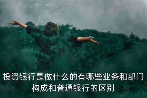 投資銀行是做什么的有哪些業(yè)務(wù)和部門構(gòu)成和普通銀行的區(qū)別