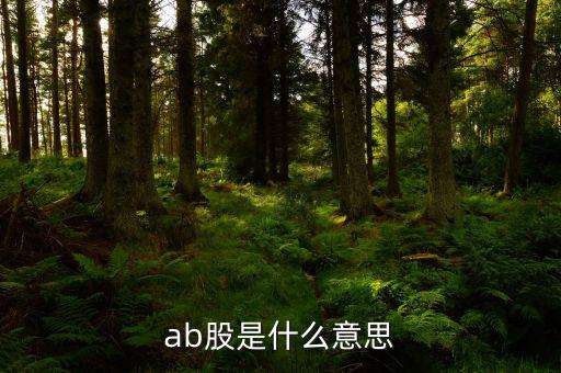 ab股什么意思，AB股是什么意思