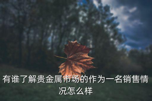 貴金屬公司為什么泛濫，有誰(shuí)了解貴金屬市場(chǎng)的作為一名銷售情況怎么樣