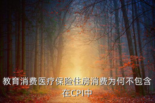 房?jī)r(jià)為什么不納入cpi，為什么在中國房?jī)r(jià)不算入CPI消費(fèi)水平也就是物價(jià)里面