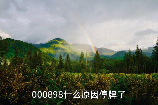 華資實(shí)業(yè)為什么停牌，000009今天為何停牌