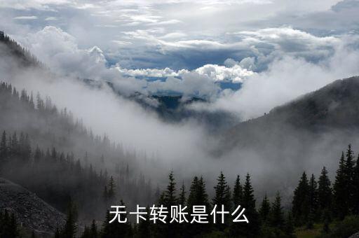 什么是無卡轉(zhuǎn)賬，什么叫無卡轉(zhuǎn)賬