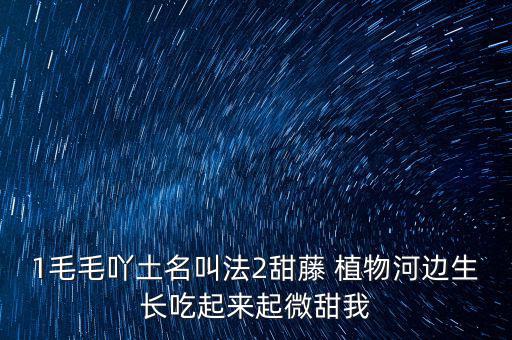 安徽有個(gè)什么林紙業(yè)，坐幾路公交車去安徽華泰林漿紙有限公司