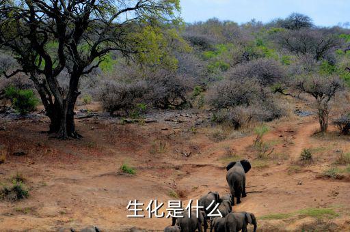 長安生化是什么呢，生化是指什么呀