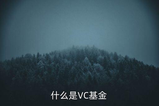 vc基金是什么，什么叫VC基金