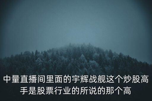 中量直播間里面的宇輝戰(zhàn)艦這個炒股高手是股票行業(yè)的所說的那個高