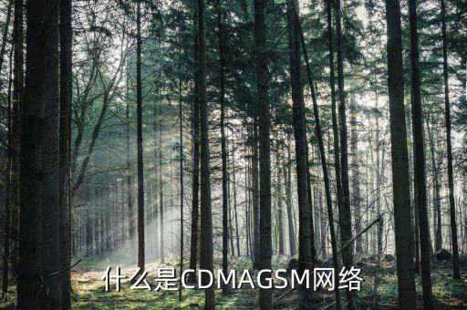 電信cdma是什么網(wǎng)絡(luò)，cdma是什么網(wǎng)絡(luò)