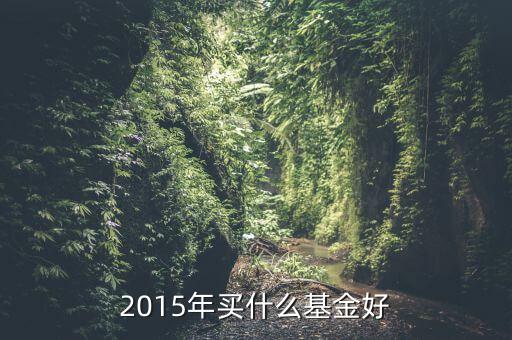 2015年5月買(mǎi)什么基金好，2015年五一勞動(dòng)節(jié)前后過(guò)后買(mǎi)什么基金好