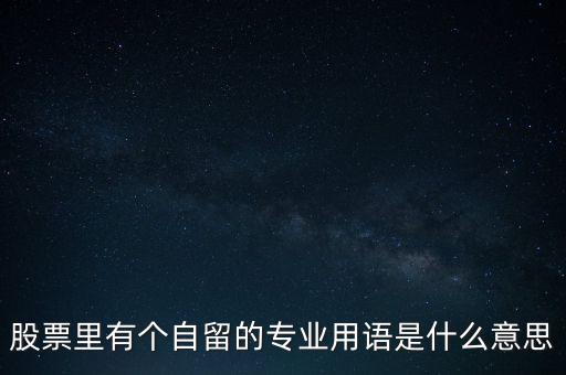 股票里有個(gè)自留的專業(yè)用語(yǔ)是什么意思