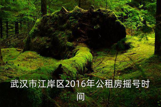 武漢市江岸區(qū)2016年公租房搖號(hào)時(shí)間