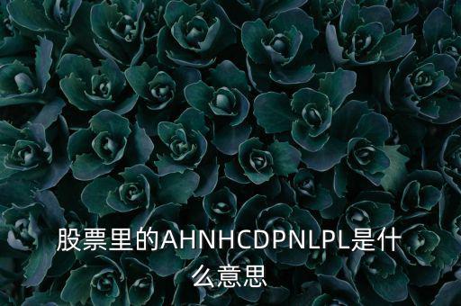 股票nl是什么意思，股票里的AHNHCDPNLPL是什么意思