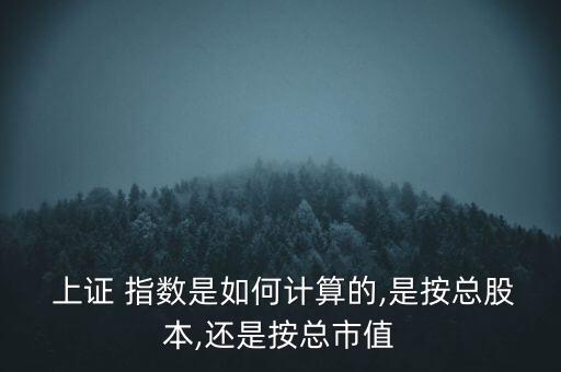  上證 指數(shù)是如何計算的,是按總股本,還是按總市值