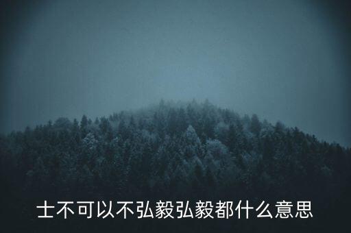 市布可以不弘毅什么意思，曾子曰士不可以不弘毅 什么意思