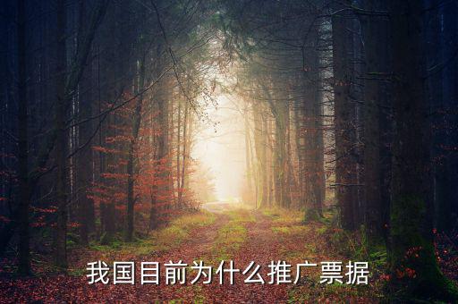 我國目前為什么推廣票據(jù)