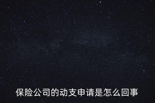 什么是動支申請，怎么樣支申請