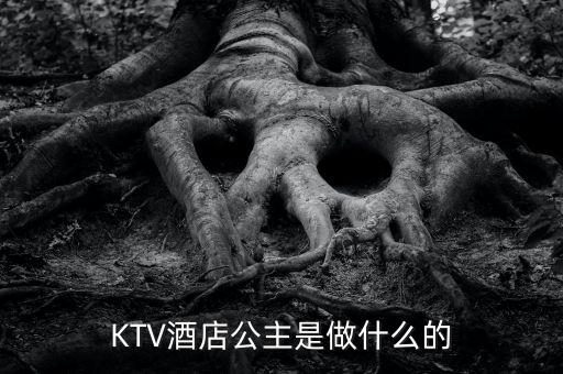 KTV酒店公主是做什么的