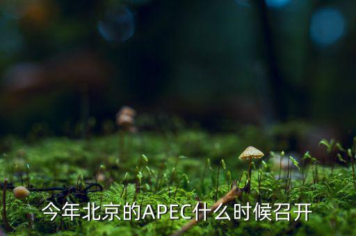 今年北京的APEC什么時(shí)候召開(kāi)