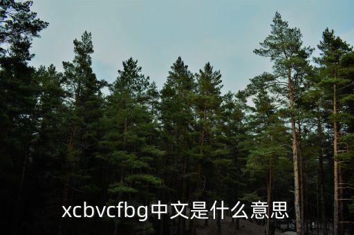 xcbvcfbg中文是什么意思