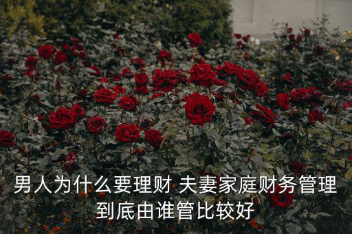 男人為什么要理財 夫妻家庭財務(wù)管理到底由誰管比較好