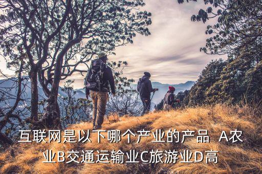 互聯(lián)網(wǎng)是以下哪個產(chǎn)業(yè)的產(chǎn)品  A農(nóng)業(yè)B交通運輸業(yè)C旅游業(yè)D高