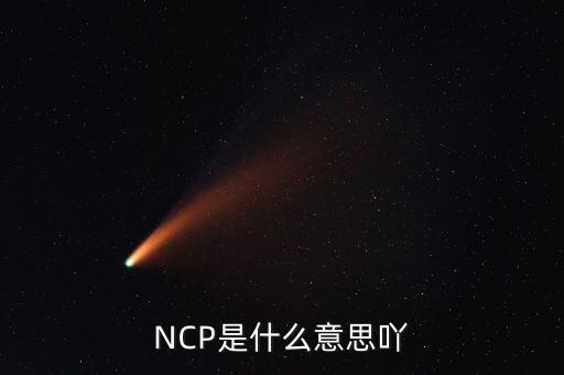 可比企業(yè)ncp是什么簡稱，NCP是什么意思吖