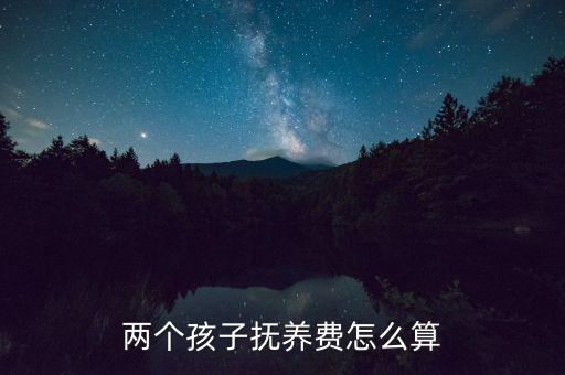 兩個孩子撫養(yǎng)費怎么算