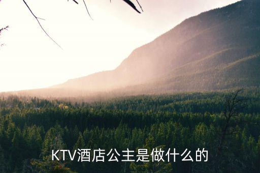 酒店出臺是干什么的，KTV酒店公主是做什么的