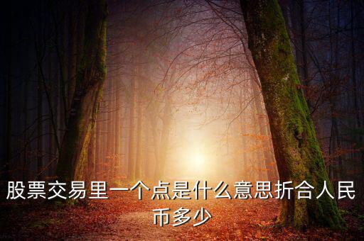 股票交易里一個(gè)點(diǎn)是什么意思折合人民幣多少