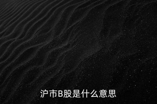 滬深b股是什么意思，滬市B股是什么意思