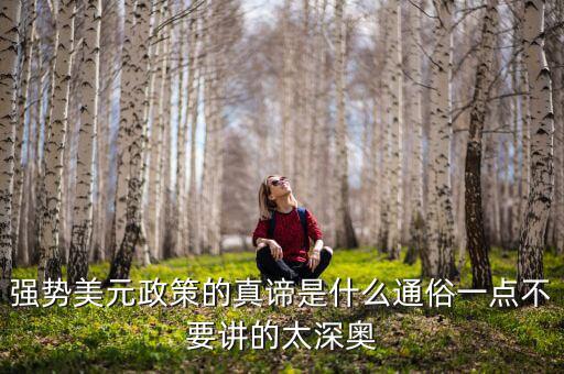 強(qiáng)勢(shì)美元政策的真諦是什么通俗一點(diǎn)不要講的太深?yuàn)W