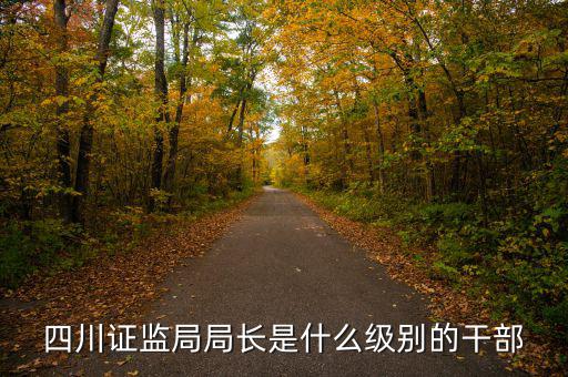 證監(jiān)會(huì)主席是什么級(jí)別，四川證監(jiān)局局長(zhǎng)是什么級(jí)別的干部