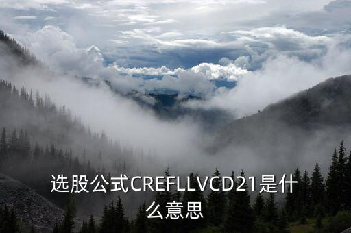 股票里的D2什么意思，選股公式CREFLLVCD21是什么意思