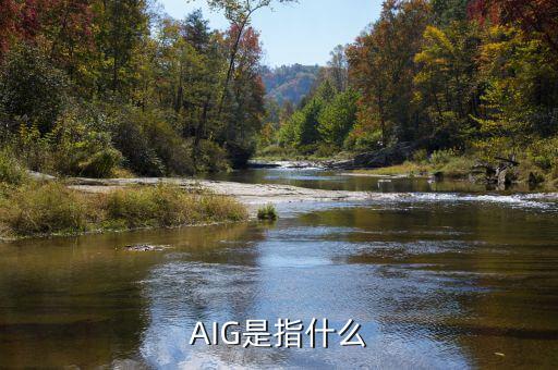 aig危機(jī)是什么，AIG為什么會(huì)瀕臨倒閉