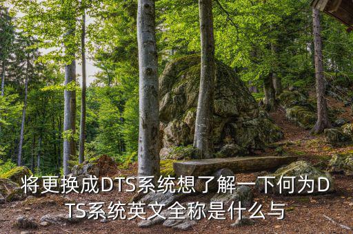 將更換成DTS系統(tǒng)想了解一下何為DTS系統(tǒng)英文全稱是什么與