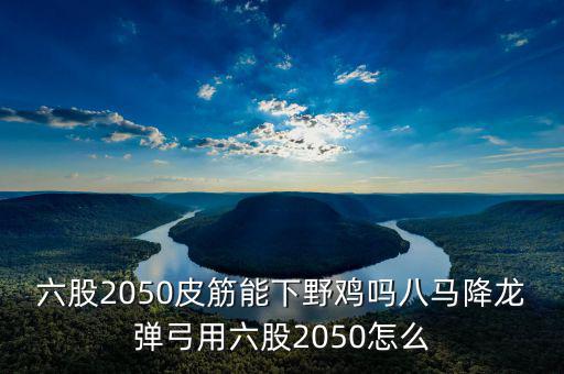 2050四股能下什么貨，2050四股到底配多大的鋼O合適